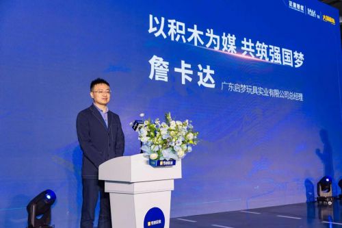 軍事文化新傳承 國產積木再現航母風采