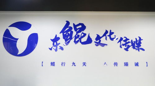 山東東鯤文化傳媒